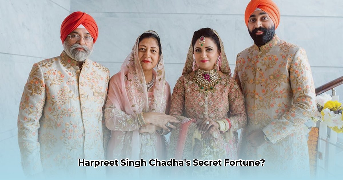 harpreet-singh-chadha-net-worth